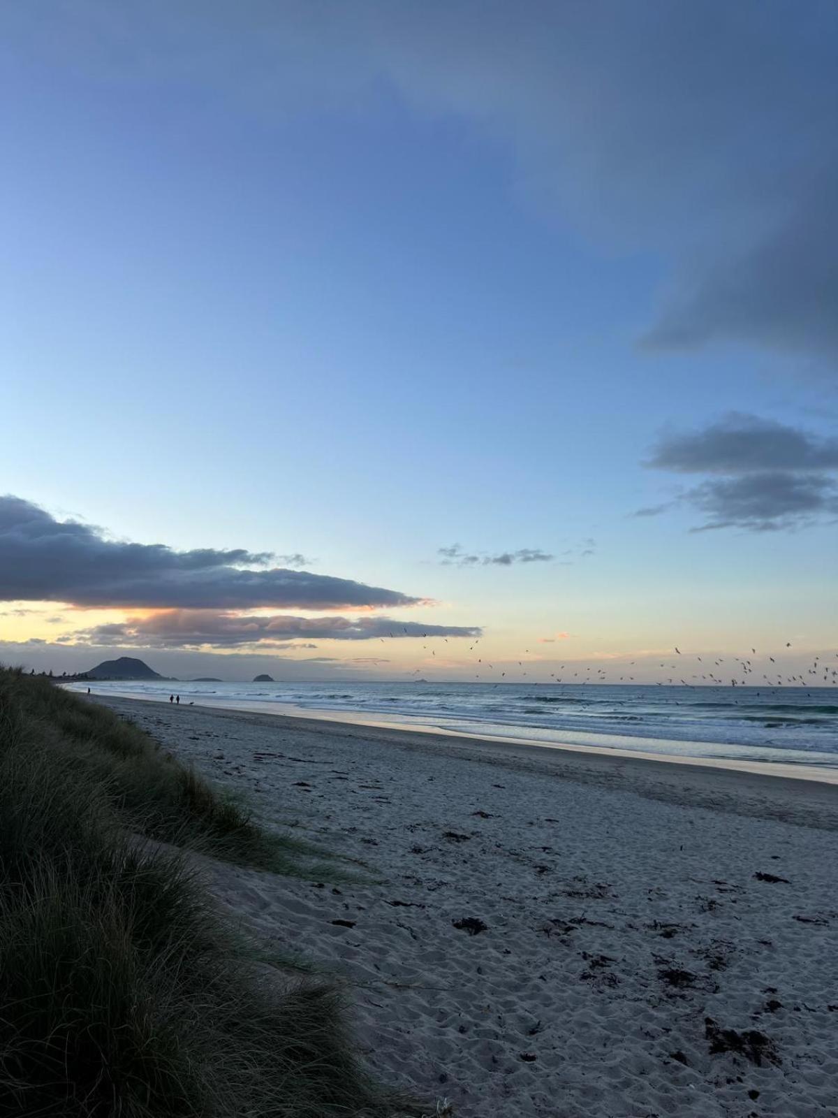 Papamoa Beach, Pohutukawa Deluxe Studio, On Hugoway מראה חיצוני תמונה